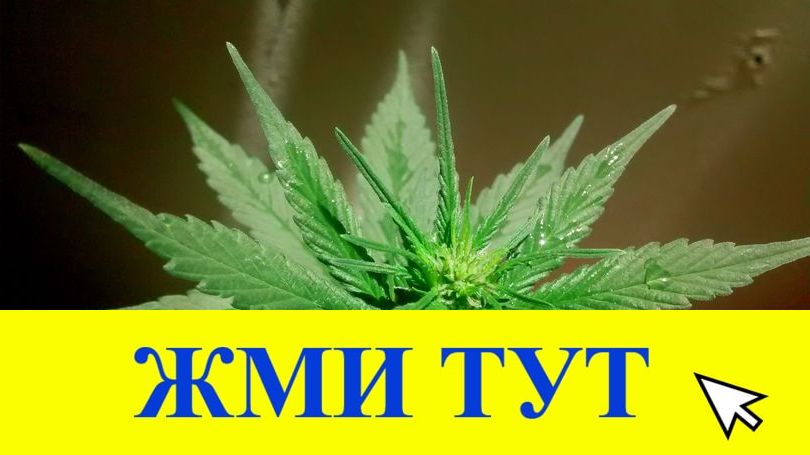 Купить наркотики в Тюмени